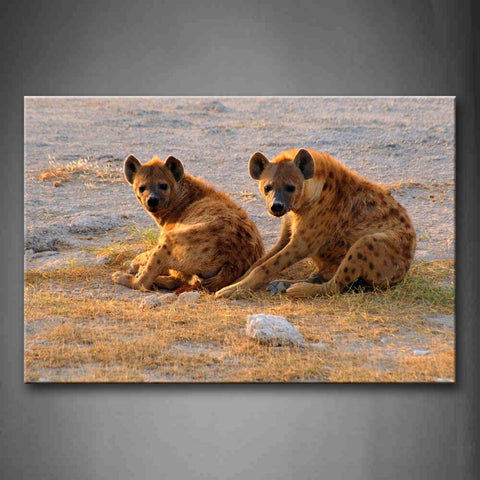 Two Hyenes Sit On  Dry Grass  Wall Art Painting Pictures Print On Canvas Animal The Picture For Home Modern Decoration 