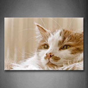 Portrait Of Yellow And White Cat Wall Art Painting The Picture Print On Canvas Animal Pictures For Home Decor Decoration Gift 