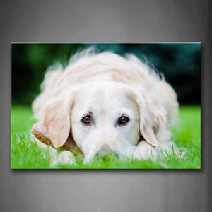 White Dog Lie On Grass Wall Art Painting The Picture Print On Canvas Animal Pictures For Home Decor Decoration Gift 