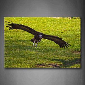 Vulture Fly Over Grassland Wall Art Painting The Picture Print On Canvas Animal Pictures For Home Decor Decoration Gift 