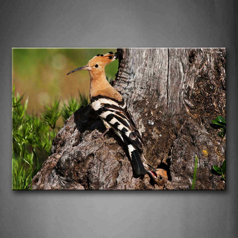 Hoopoe Stand On Dry Wood Near Its Nest Wall Art Painting Pictures Print On Canvas Animal The Picture For Home Modern Decoration 