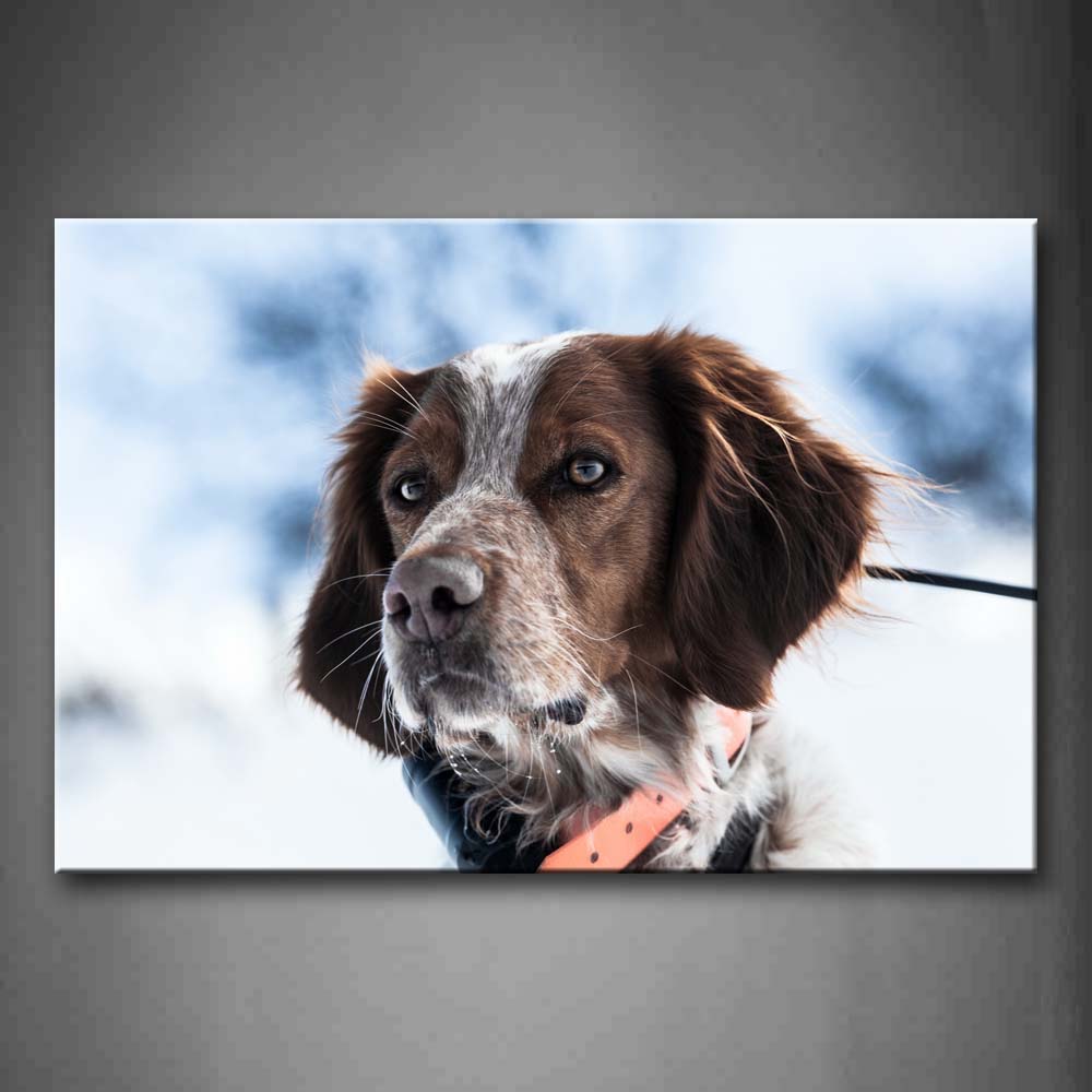 Portrait Of Dog Head  Wall Art Painting Pictures Print On Canvas Animal The Picture For Home Modern Decoration 