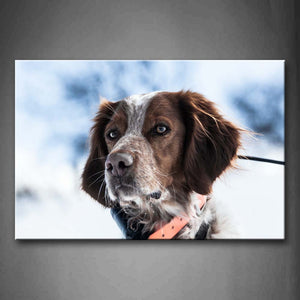 Portrait Of Dog Head  Wall Art Painting Pictures Print On Canvas Animal The Picture For Home Modern Decoration 