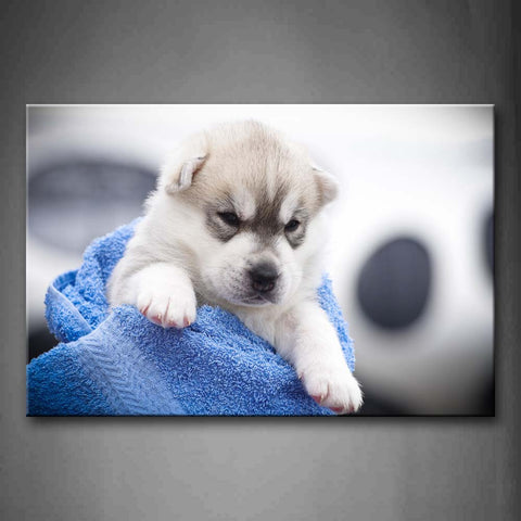 Cub Dog In Blue Blanket Wall Art Painting The Picture Print On Canvas Animal Pictures For Home Decor Decoration Gift 