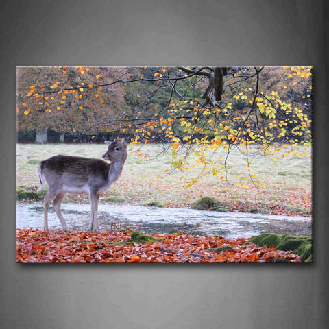 Deer Stand On Land Fallen Maple Leafs River Tree Wall Art Painting Pictures Print On Canvas Animal The Picture For Home Modern Decoration 