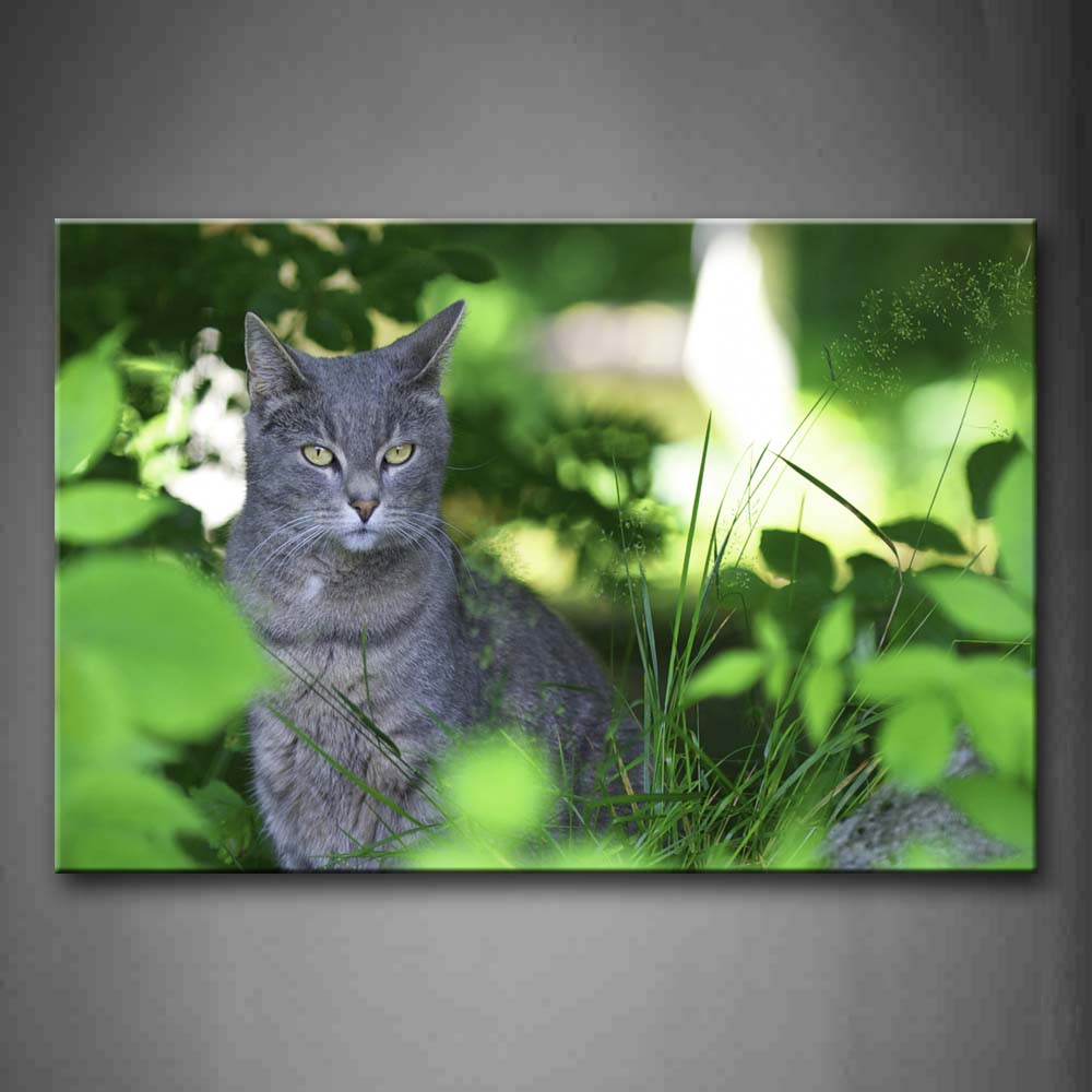 Gray Cat Sit Behind Plant Wall Art Painting The Picture Print On Canvas Animal Pictures For Home Decor Decoration Gift 