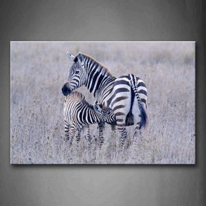 Mother Zebra And Cub In Dry Grass  Wall Art Painting Pictures Print On Canvas Animal The Picture For Home Modern Decoration 