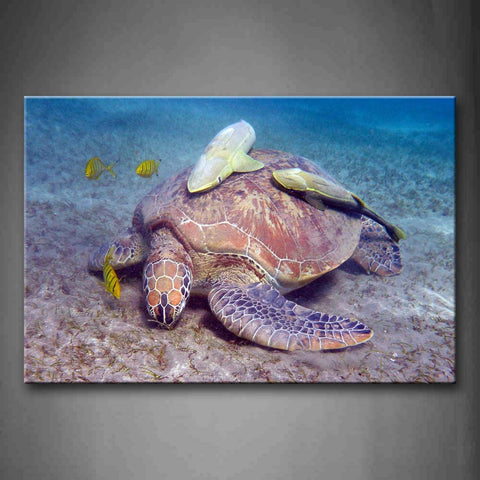 Turtle In Sea With Fishs Wall Art Painting The Picture Print On Canvas Animal Pictures For Home Decor Decoration Gift 