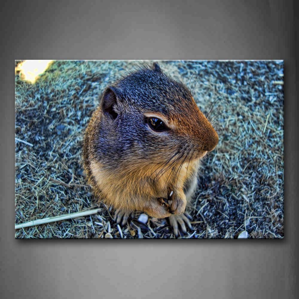 Squirrel Sit On Grass Wall Art Painting Pictures Print On Canvas Animal The Picture For Home Modern Decoration 