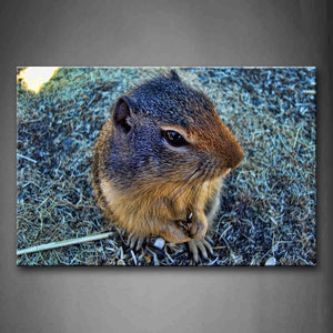 Squirrel Sit On Grass Wall Art Painting Pictures Print On Canvas Animal The Picture For Home Modern Decoration 