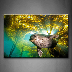 Seal Swiming In Sea Water Plant Wall Art Painting Pictures Print On Canvas Animal The Picture For Home Modern Decoration 