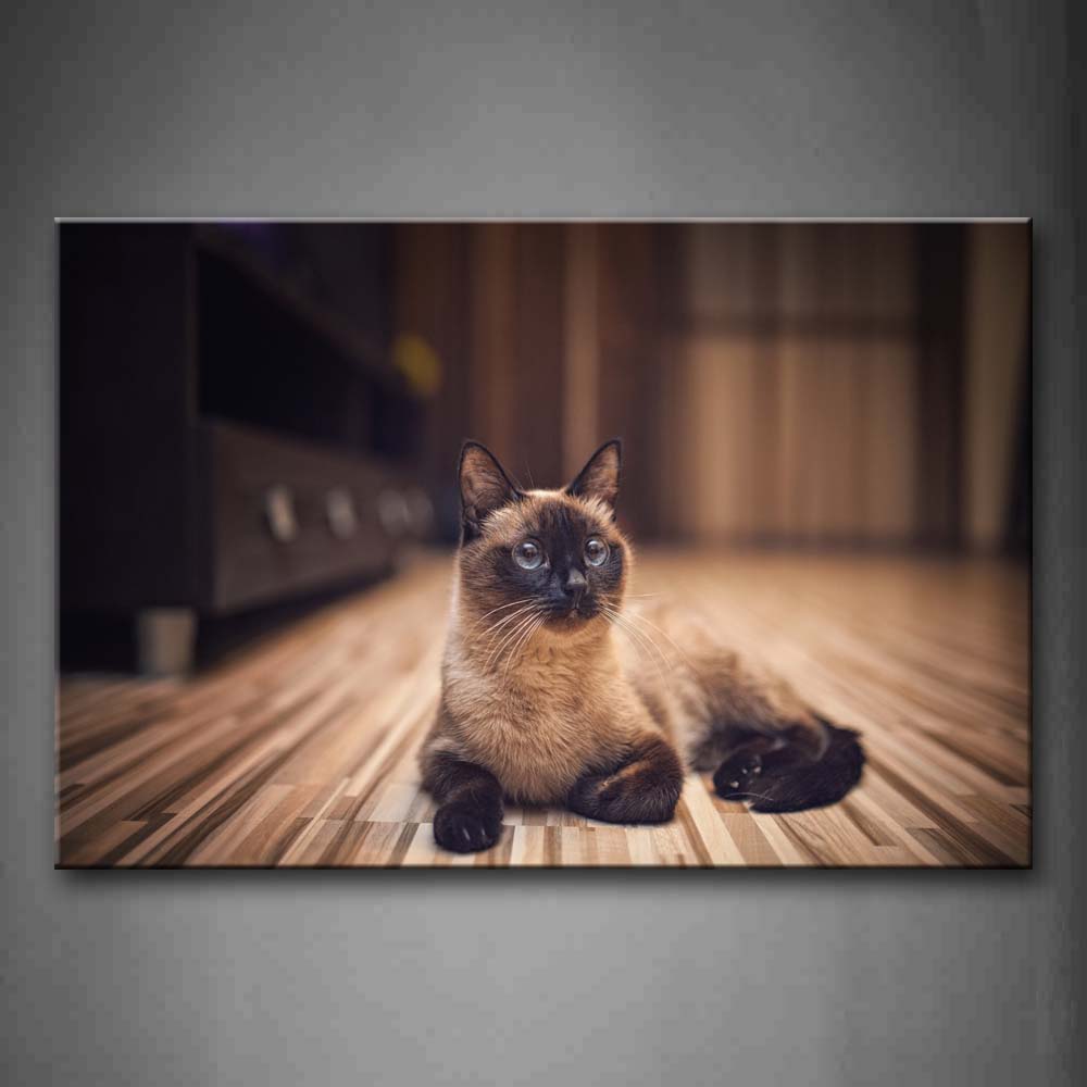 Cat Lie On Land Inside Room Wall Art Painting The Picture Print On Canvas Animal Pictures For Home Decor Decoration Gift 