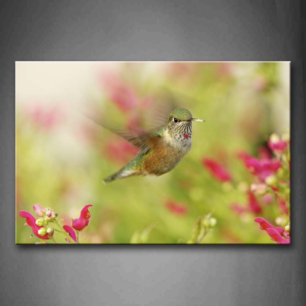 Hummingbird Fly Over Pink Flower Wall Art Painting Pictures Print On Canvas Animal The Picture For Home Modern Decoration 