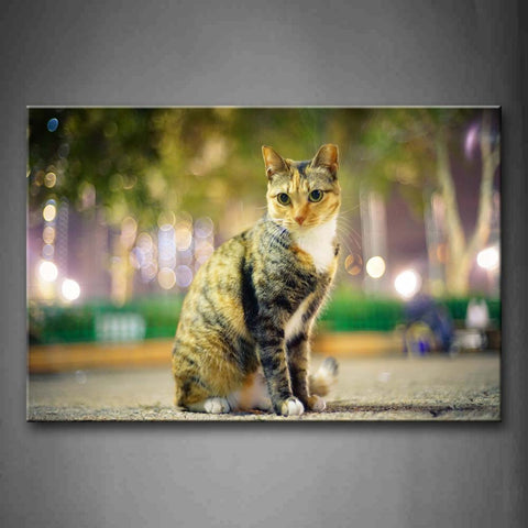 Cat Sit On Path Portrait Wall Art Painting Pictures Print On Canvas Animal The Picture For Home Modern Decoration 