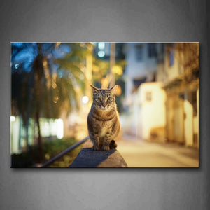 Cat Sit On Fence Tree Street Wall Art Painting The Picture Print On Canvas Animal Pictures For Home Decor Decoration Gift 