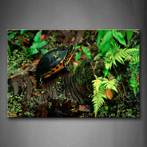 Turtle Crawl In Forest Plant Moss Wall Art Painting Pictures Print On Canvas Animal The Picture For Home Modern Decoration 