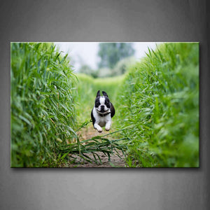 French Bulldog Running On Path Between Green Plant Wall Art Painting The Picture Print On Canvas Animal Pictures For Home Decor Decoration Gift 