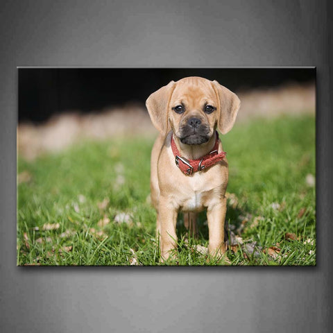 Yellow Dog Stand On Grass Fallen Leafs Wall Art Painting Pictures Print On Canvas Animal The Picture For Home Modern Decoration 