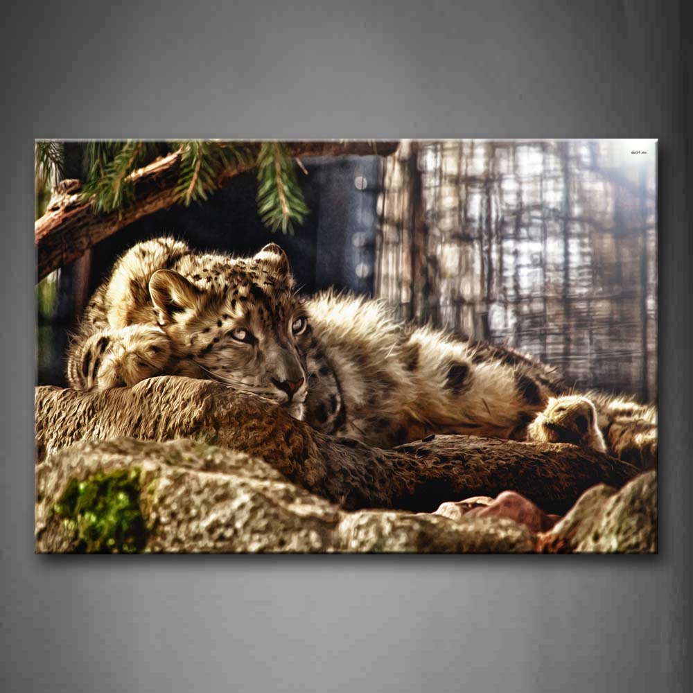 Snow Leopard Stand On Rock In Forest Wall Art Painting Pictures Print On Canvas Animal The Picture For Home Modern Decoration 