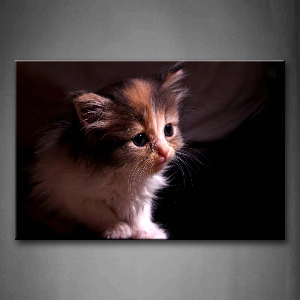 Portrait Of Cat Black Background  Wall Art Painting The Picture Print On Canvas Animal Pictures For Home Decor Decoration Gift 