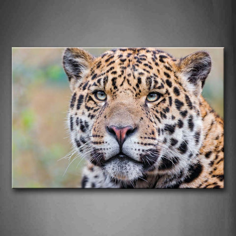 Jaguar Portrait Staring Wall Art Painting Pictures Print On Canvas Animal The Picture For Home Modern Decoration 