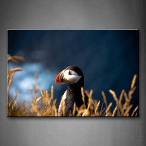 Puffin In Dry Grass Wall Art Painting The Picture Print On Canvas Animal Pictures For Home Decor Decoration Gift 