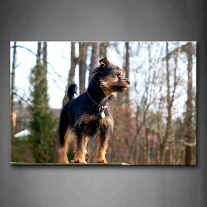 Dog Stand On Fence Trees Wall Art Painting Pictures Print On Canvas Animal The Picture For Home Modern Decoration 