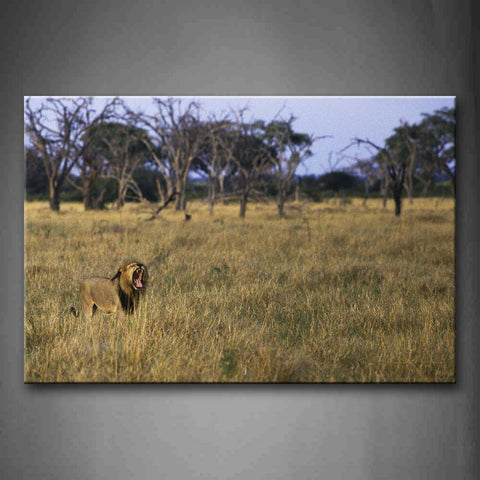 Lion Howl In Grassland Trees Wall Art Painting Pictures Print On Canvas Animal The Picture For Home Modern Decoration 