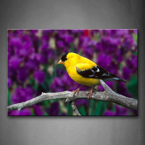 Purple Yellow And Black Bird Stnd On Branch Wall Art Painting The Picture Print On Canvas Animal Pictures For Home Decor Decoration Gift 