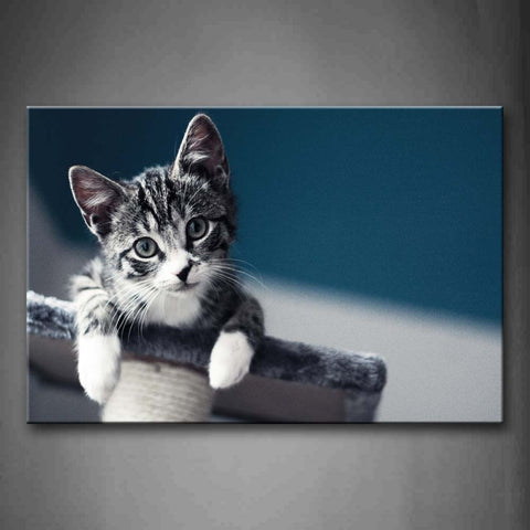 Cat Bend Over  Portrait Wall Art Painting Pictures Print On Canvas Animal The Picture For Home Modern Decoration 