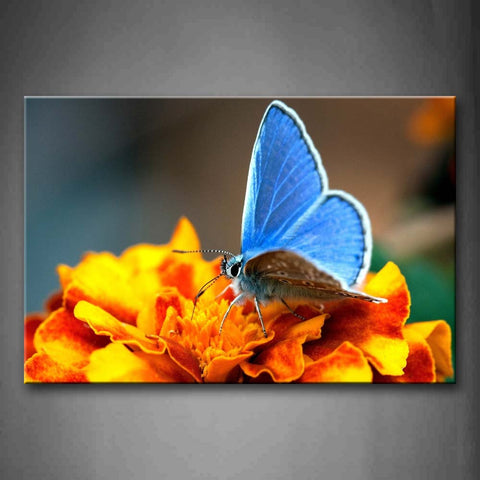 Blue Butterfly Stop On Yellow Flower Wall Art Painting The Picture Print On Canvas Animal Pictures For Home Decor Decoration Gift 