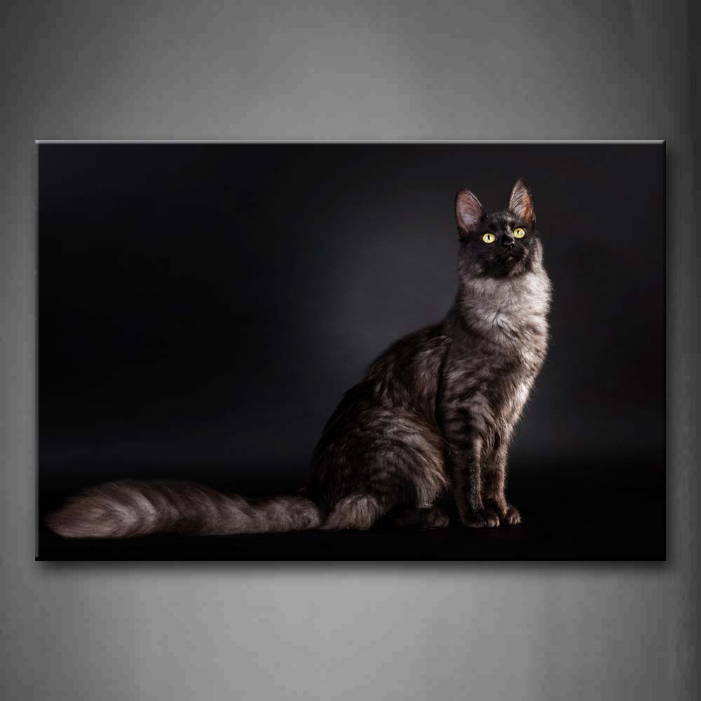 Cat Sit In Dark Background Wall Art Painting Pictures Print On Canvas Animal The Picture For Home Modern Decoration 