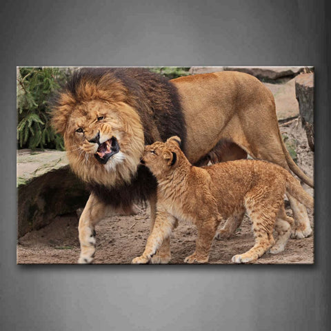 Mother And Cub Platy Together Wall Art Painting Pictures Print On Canvas Animal The Picture For Home Modern Decoration 