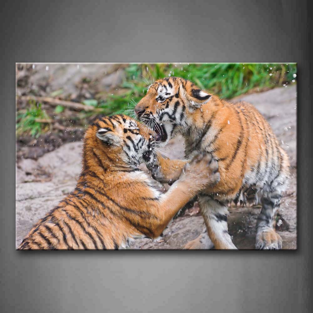 Two Tigers Play In Water Rock Plant Wall Art Painting Pictures Print On Canvas Animal The Picture For Home Modern Decoration 