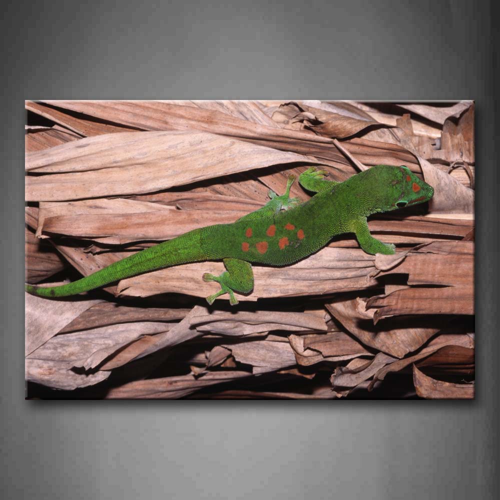 Green Gecko Crawl On Dry Leafs Wall Art Painting Pictures Print On Canvas Animal The Picture For Home Modern Decoration 