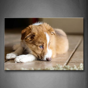 Puppy Lie On Land Inside Room Wall Art Painting The Picture Print On Canvas Animal Pictures For Home Decor Decoration Gift 