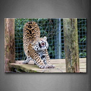 Jaguar Stretch In Zoo Wall Art Painting The Picture Print On Canvas Animal Pictures For Home Decor Decoration Gift 