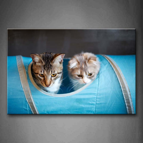 Two Cats In Blue Bag Wall Art Painting Pictures Print On Canvas Animal The Picture For Home Modern Decoration 