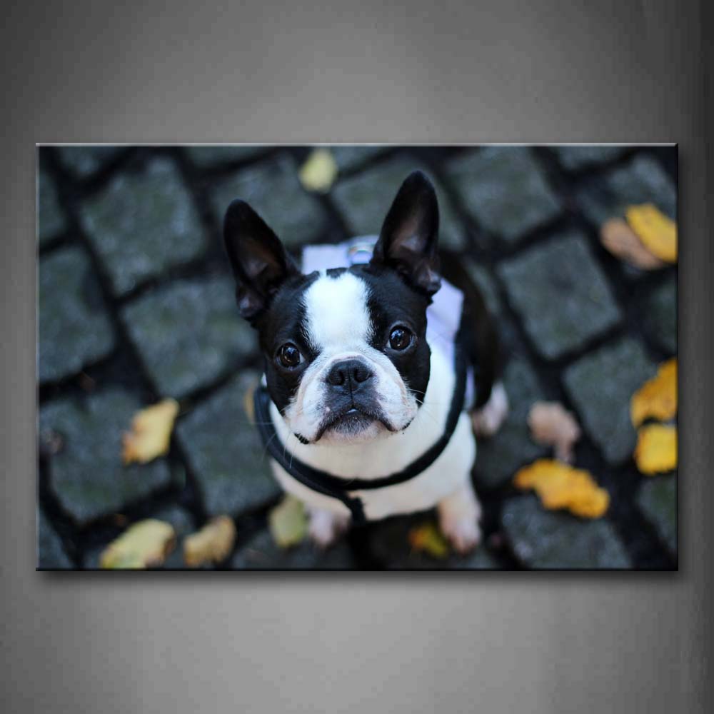 French Bulldog Sit On Land And Look At Fallen Leafs Wall Art Painting The Picture Print On Canvas Animal Pictures For Home Decor Decoration Gift 