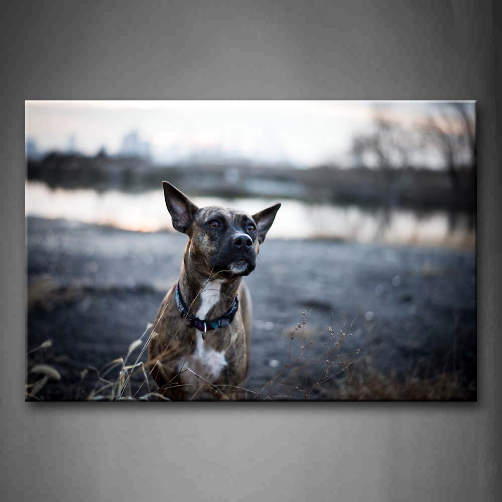 Dog Sit On Land Near A Lake Dry Grass Wall Art Painting Pictures Print On Canvas Animal The Picture For Home Modern Decoration 