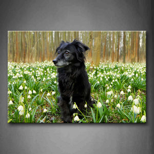 Black Dog Sit On Anthemy Forest Wall Art Painting The Picture Print On Canvas Animal Pictures For Home Decor Decoration Gift 