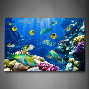 Blue The Bottom Of Sea Scenery Colorful And Different Fishs  Wall Art Painting The Picture Print On Canvas Animal Pictures For Home Decor Decoration Gift 