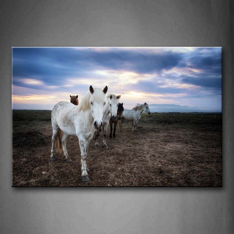 Group Of Horses Stand On Mud Land  Wall Art Painting Pictures Print On Canvas Animal The Picture For Home Modern Decoration 