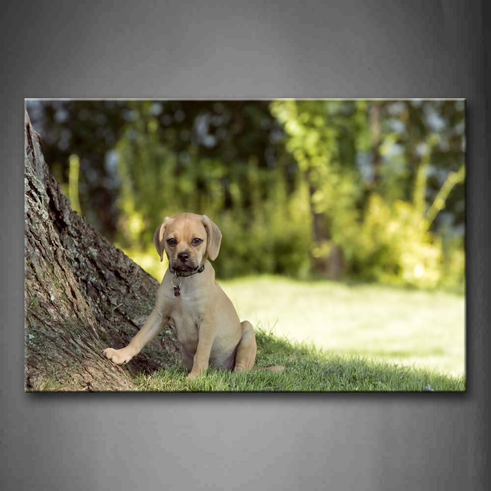 Puppy Sit Under A Tree Grass Wall Art Painting Pictures Print On Canvas Animal The Picture For Home Modern Decoration 