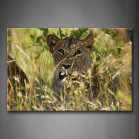 Lion Lie Behind Yellow Grass Wall Art Painting The Picture Print On Canvas Animal Pictures For Home Decor Decoration Gift 