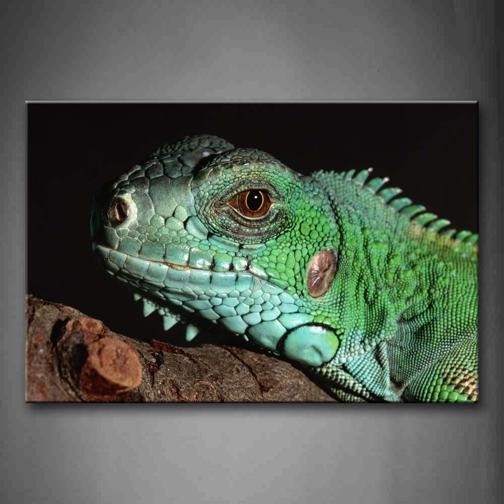 Green Iguana Crawl On Wood Wall Art Painting Pictures Print On Canvas Animal The Picture For Home Modern Decoration 