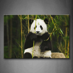 Panda Grasp A Bamboo  Wall Art Painting Pictures Print On Canvas Animal The Picture For Home Modern Decoration 