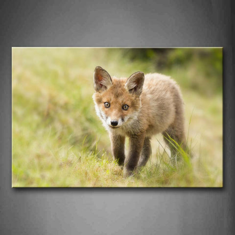 Young Fox Stand On Grass Wall Art Painting Pictures Print On Canvas Animal The Picture For Home Modern Decoration 