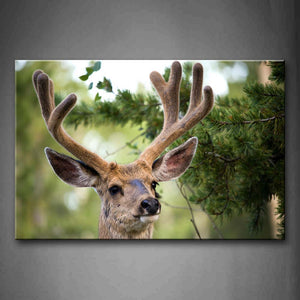 Portrait Of Deer'S Head Tree Wall Art Painting The Picture Print On Canvas Animal Pictures For Home Decor Decoration Gift 