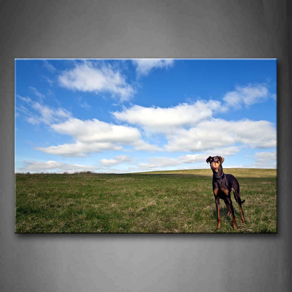 Dog Stand On Grassland Blue Sky Wall Art Painting The Picture Print On Canvas Animal Pictures For Home Decor Decoration Gift 